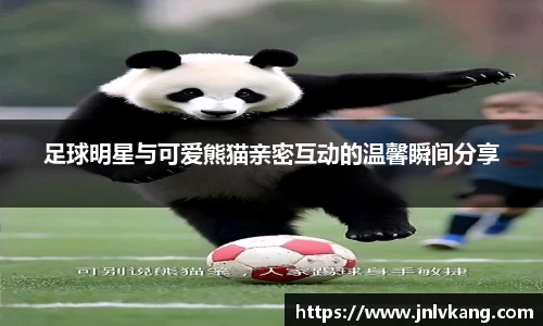 南宫NG28